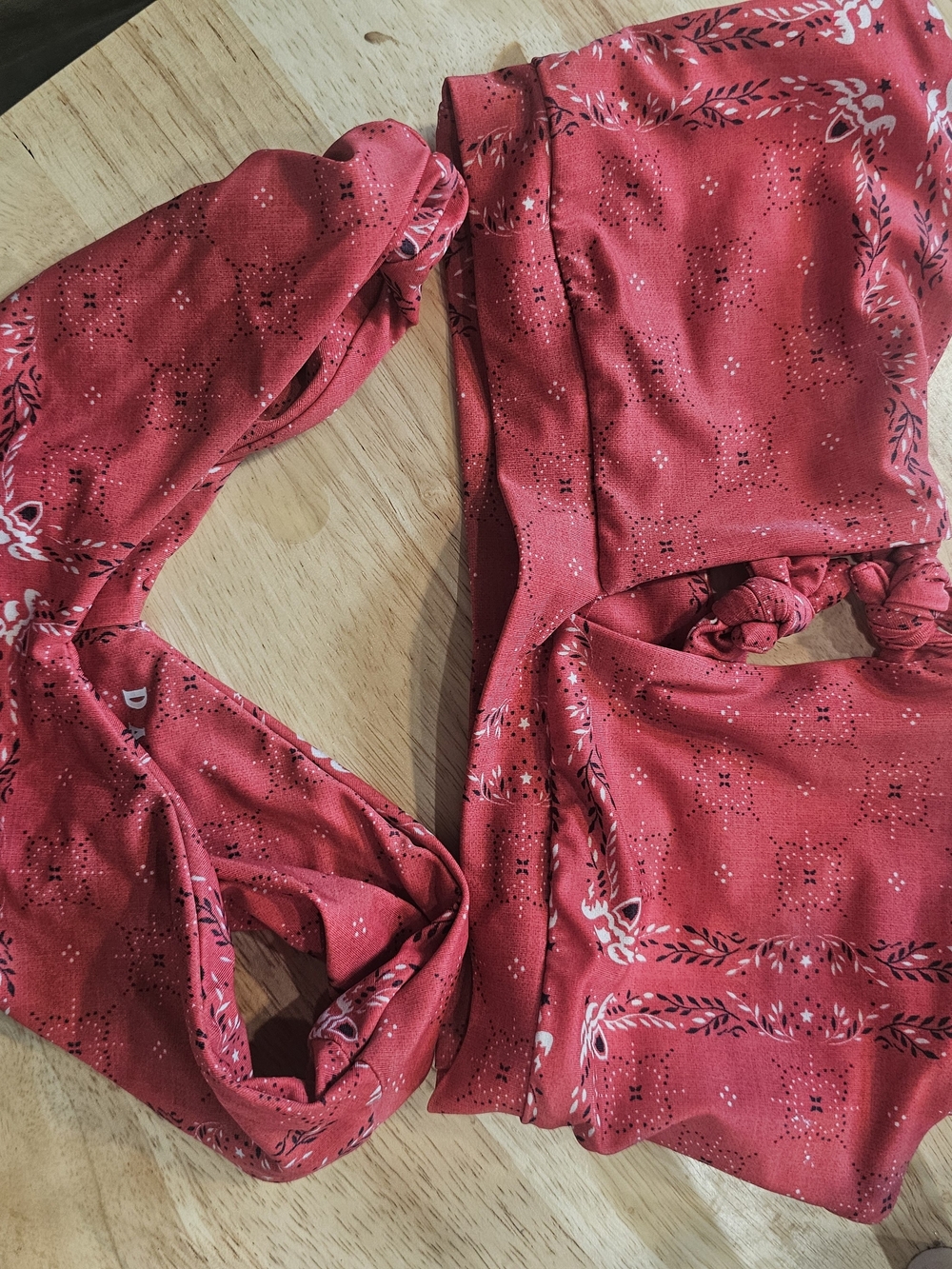 Darlin Red Floral Print Bikini Set